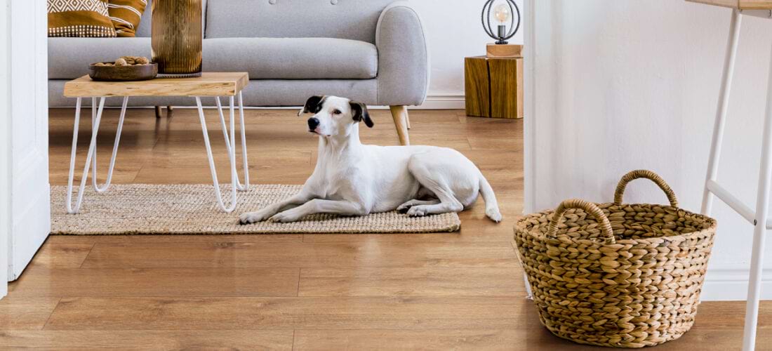 galeria wnętrz katowice