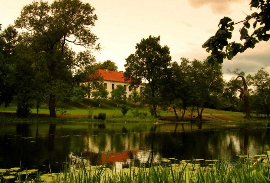 Zapowiednik – terapia uzależnień NFZ